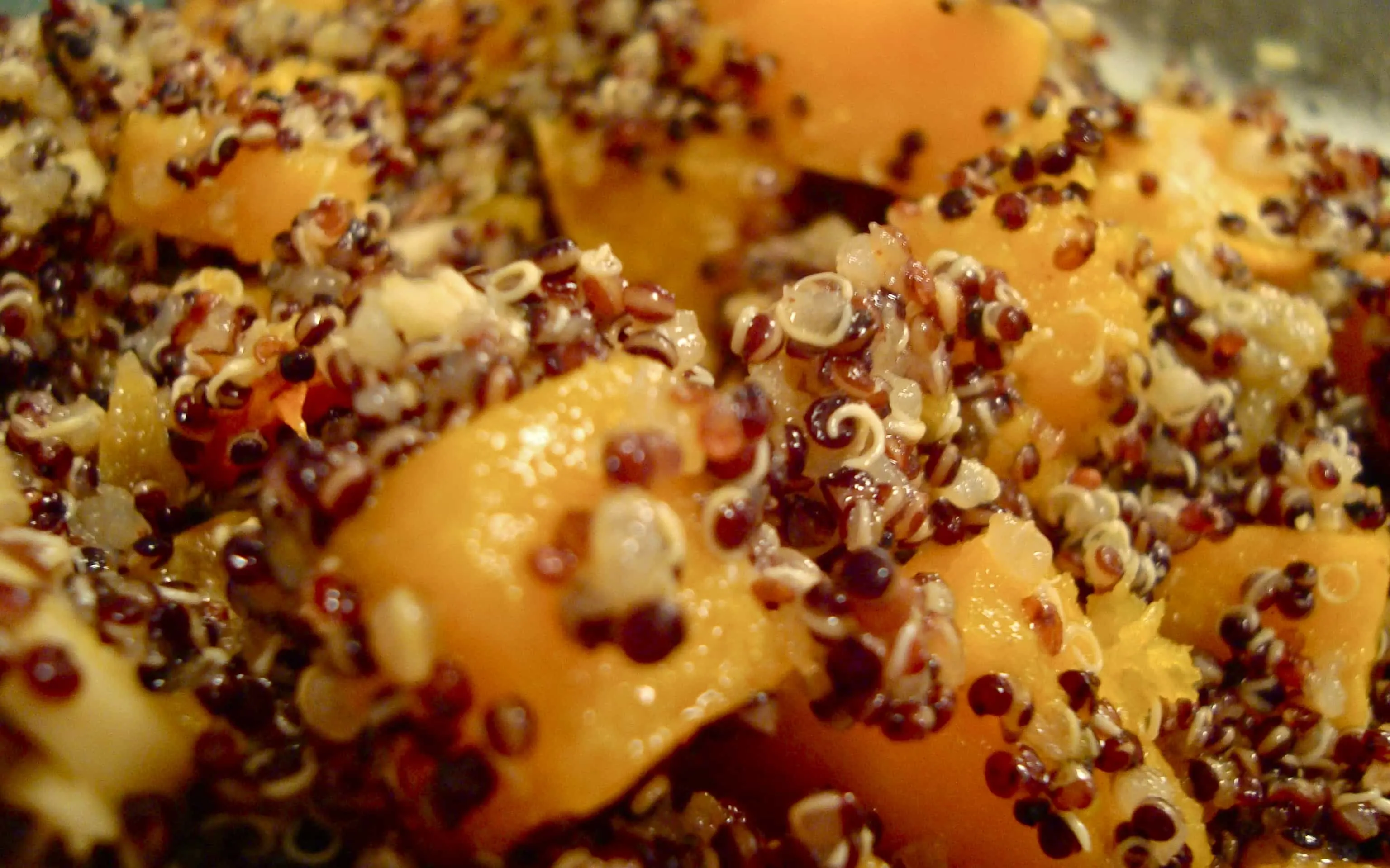 Roasted butternut squash quinoa salad