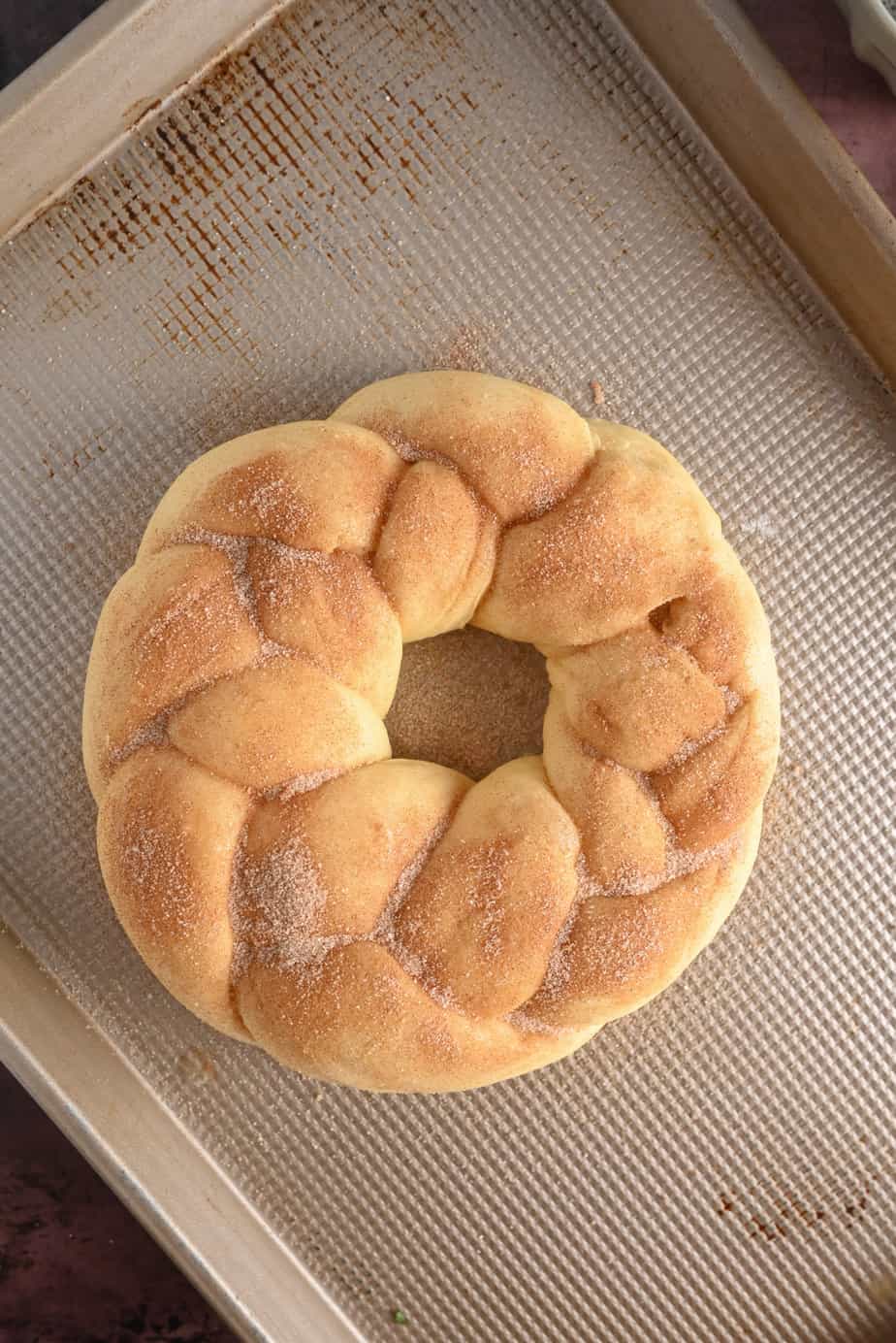 Loaf of pan de muerto dough, shaped and dusted with cinnamon sugar, ready to go in the oven.