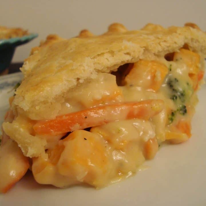 Double-Crusted Chicken Pot Pie