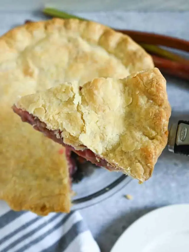 The Best Rhubarb Pie