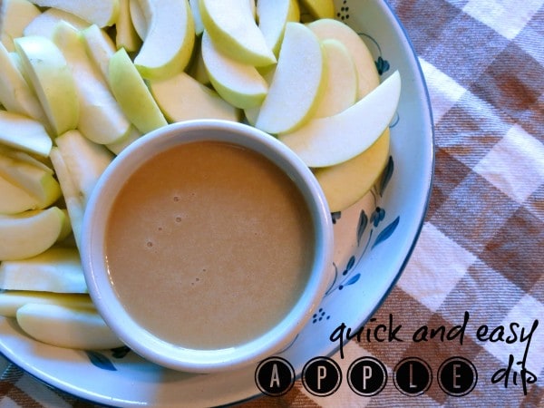 Quick and Easy Apple Dip