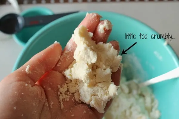 Pie Crust Tutorial