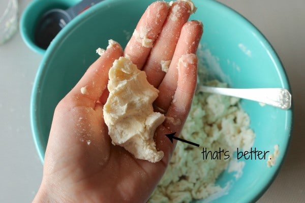 Pie Crust Tutorial