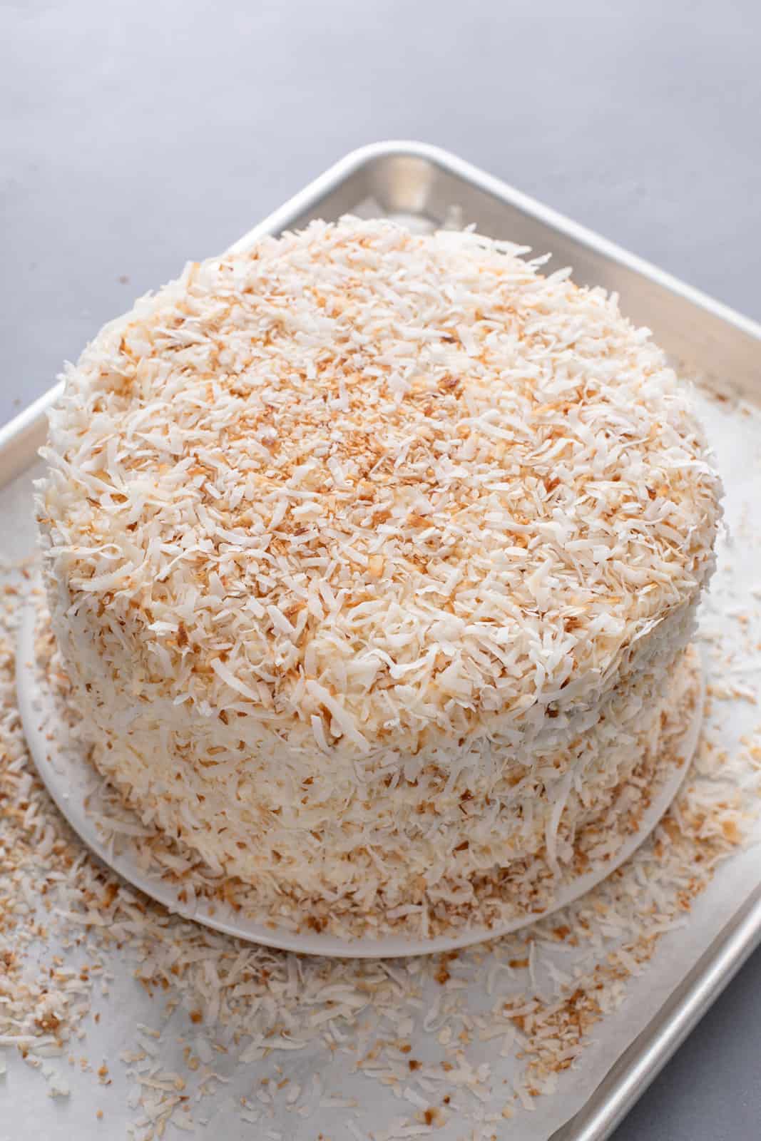 Toasted coconut covering the outside of a coconut cake.