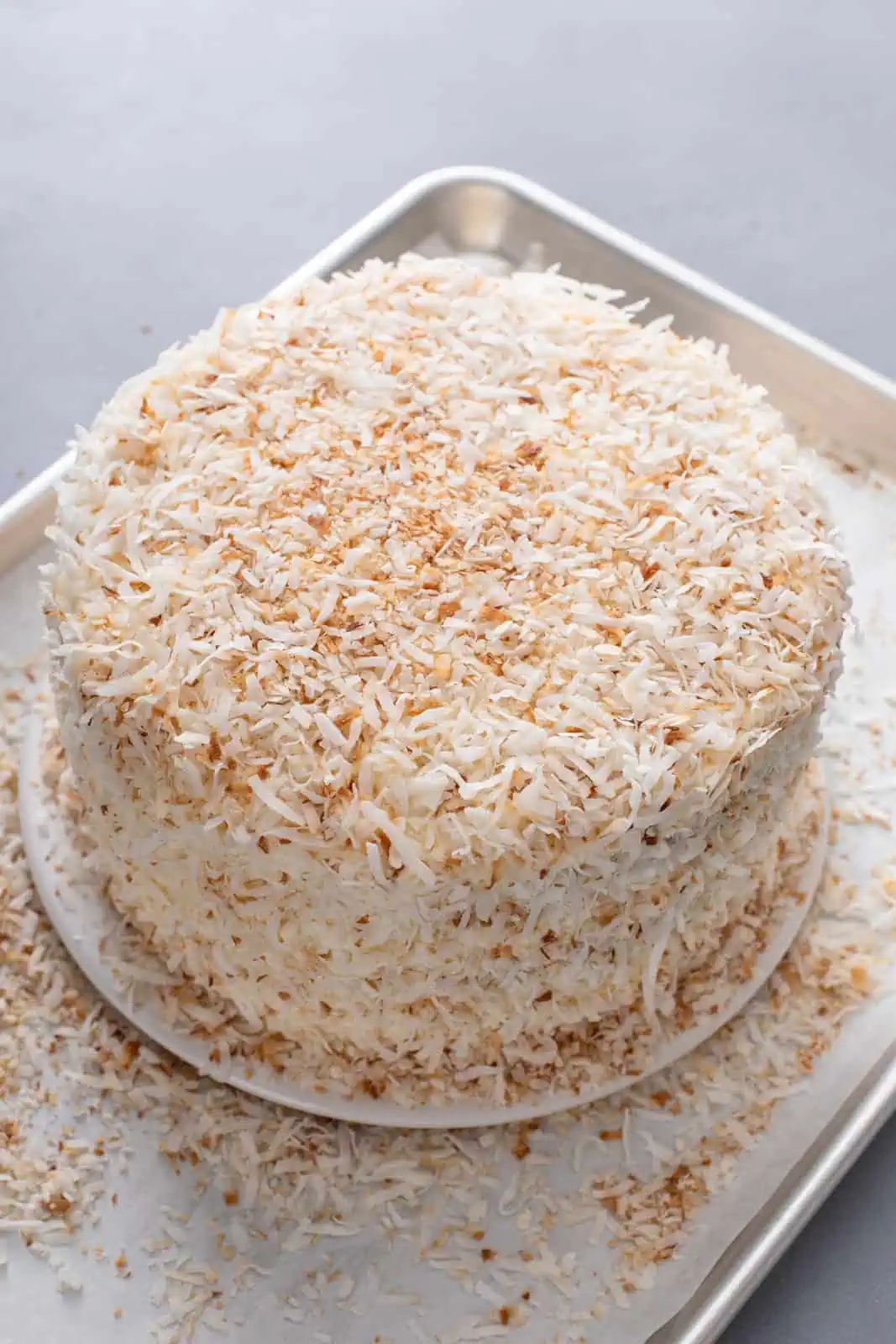 Toasted coconut covering the outside of a coconut cake.