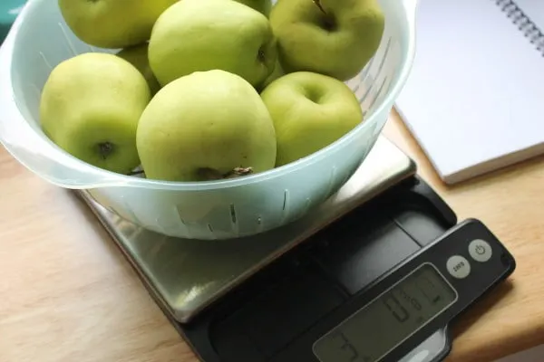 OXO food scale