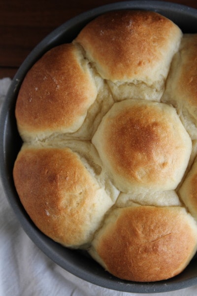 Fluffy No-Knead Refrigerator Rolls