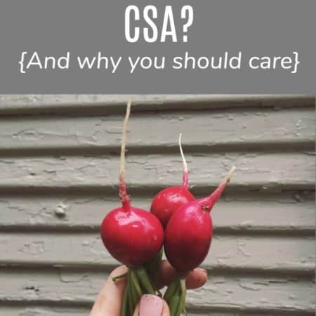 What is a CSA image