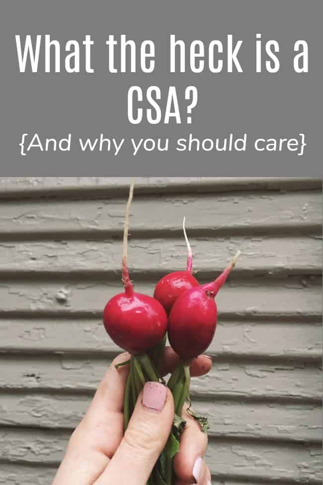 What is a CSA? {And Why You Should Care}