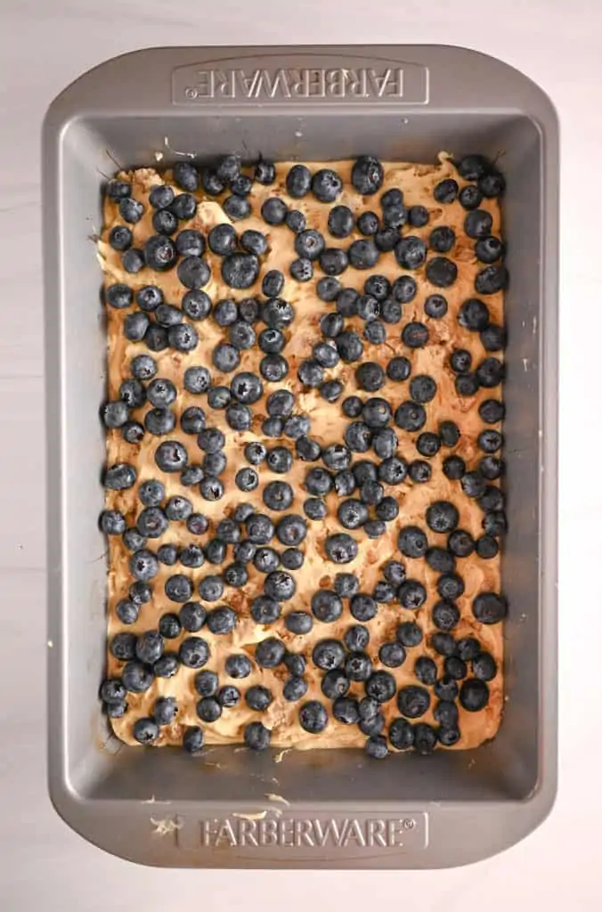 Blueberries scattered over cake mix in a metal cake pan