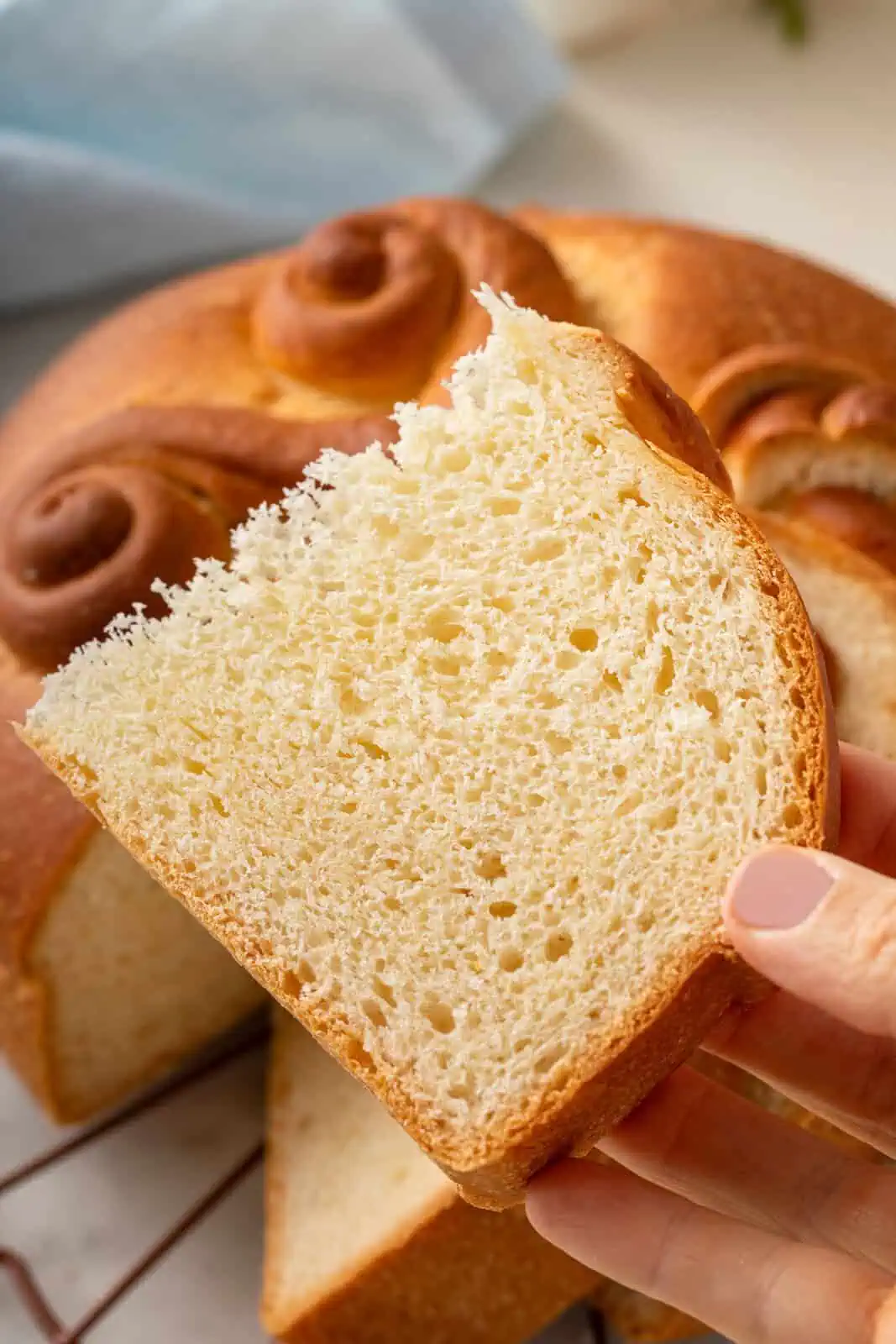 Close up of a person holding up a slice of paska to show the tender, even crumb.