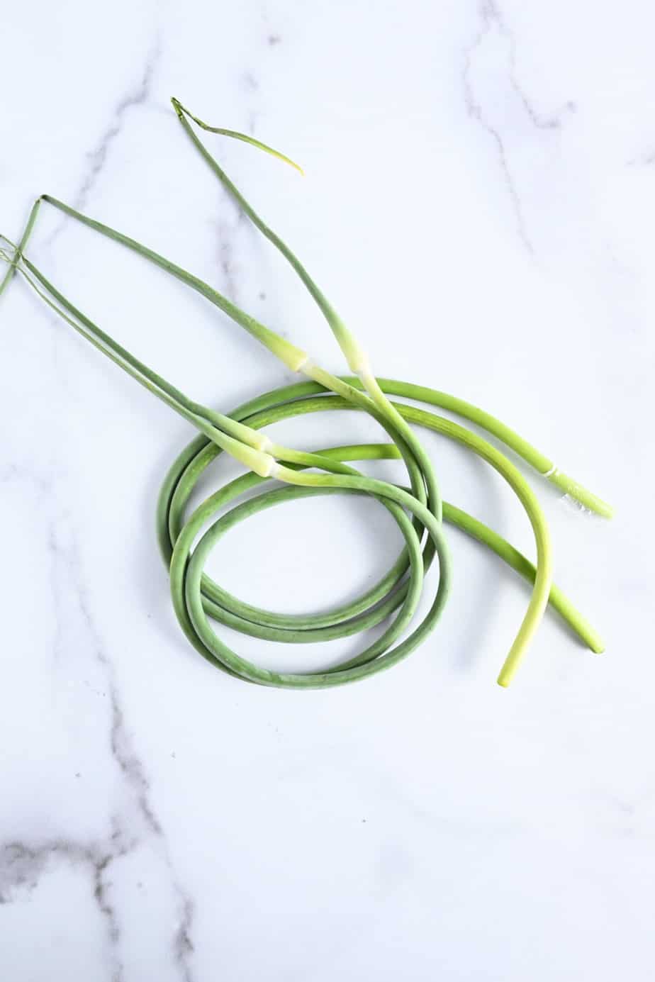 Pickled Garlic Scapes (Refrigerator pickles) Stephie Cooks