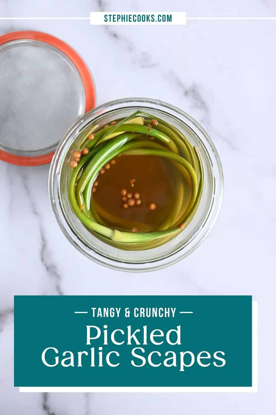 Pickled Garlic Scapes (Refrigerator pickles) Stephie Cooks