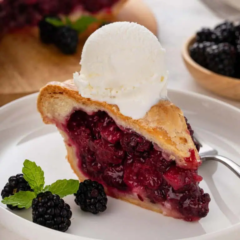 Slice of blackberry pie topped with a scoop of vanilla ice cream.