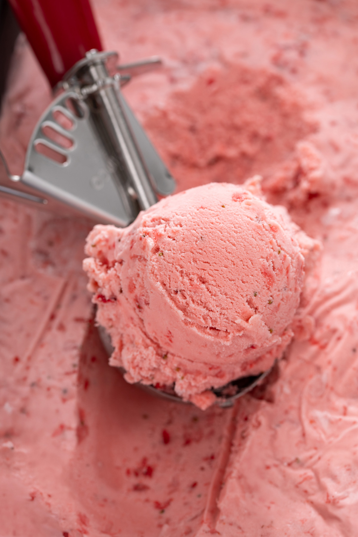 Close up of a scoop of strawberry ice cream in an ice cream scoop.