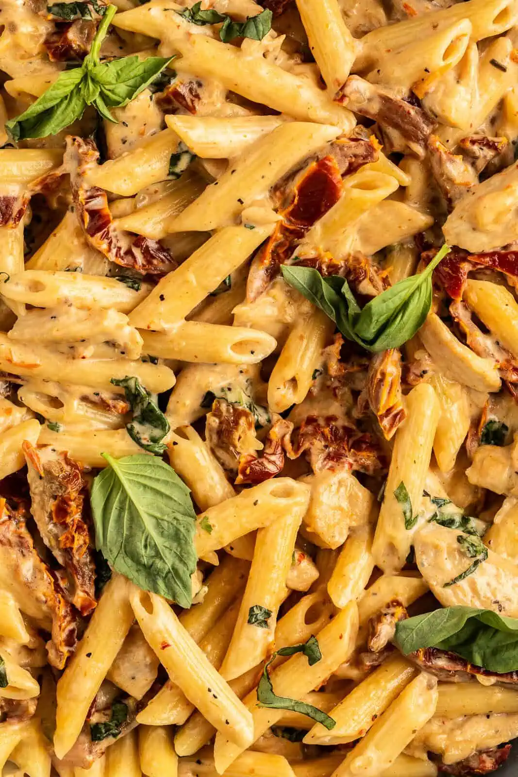 Close up of sun-dried tomato pasta garnished with fresh basil.