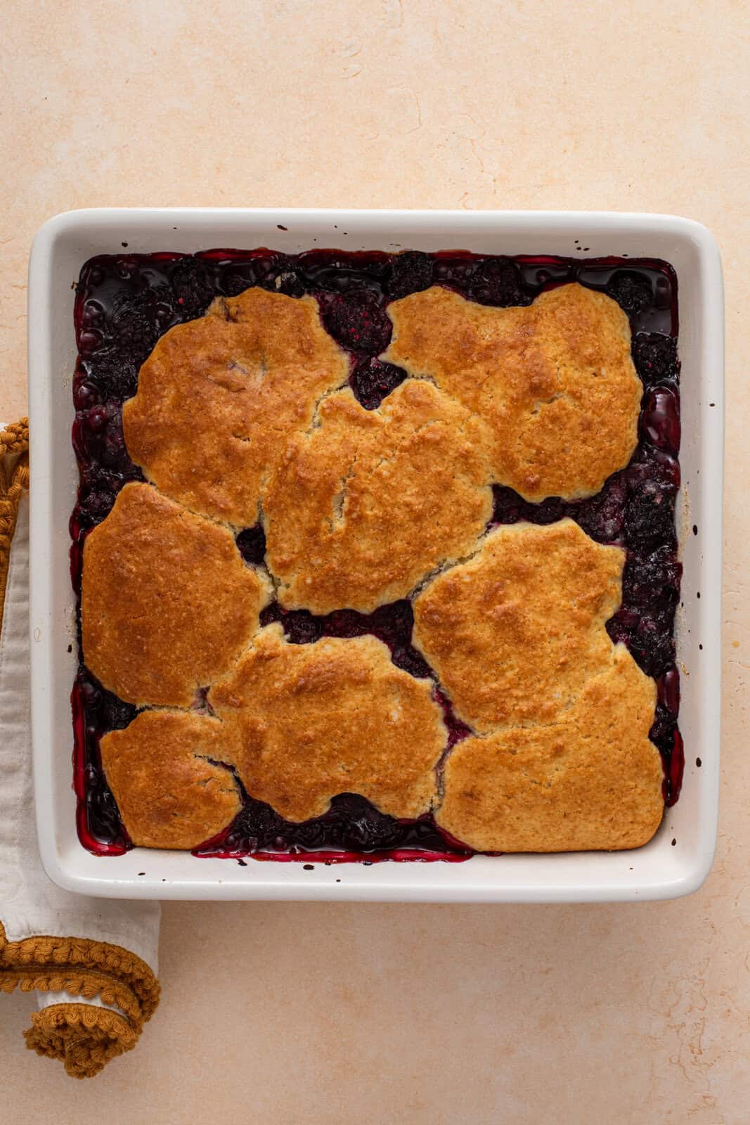 Baked blackberry cobbler in a white baking dish.