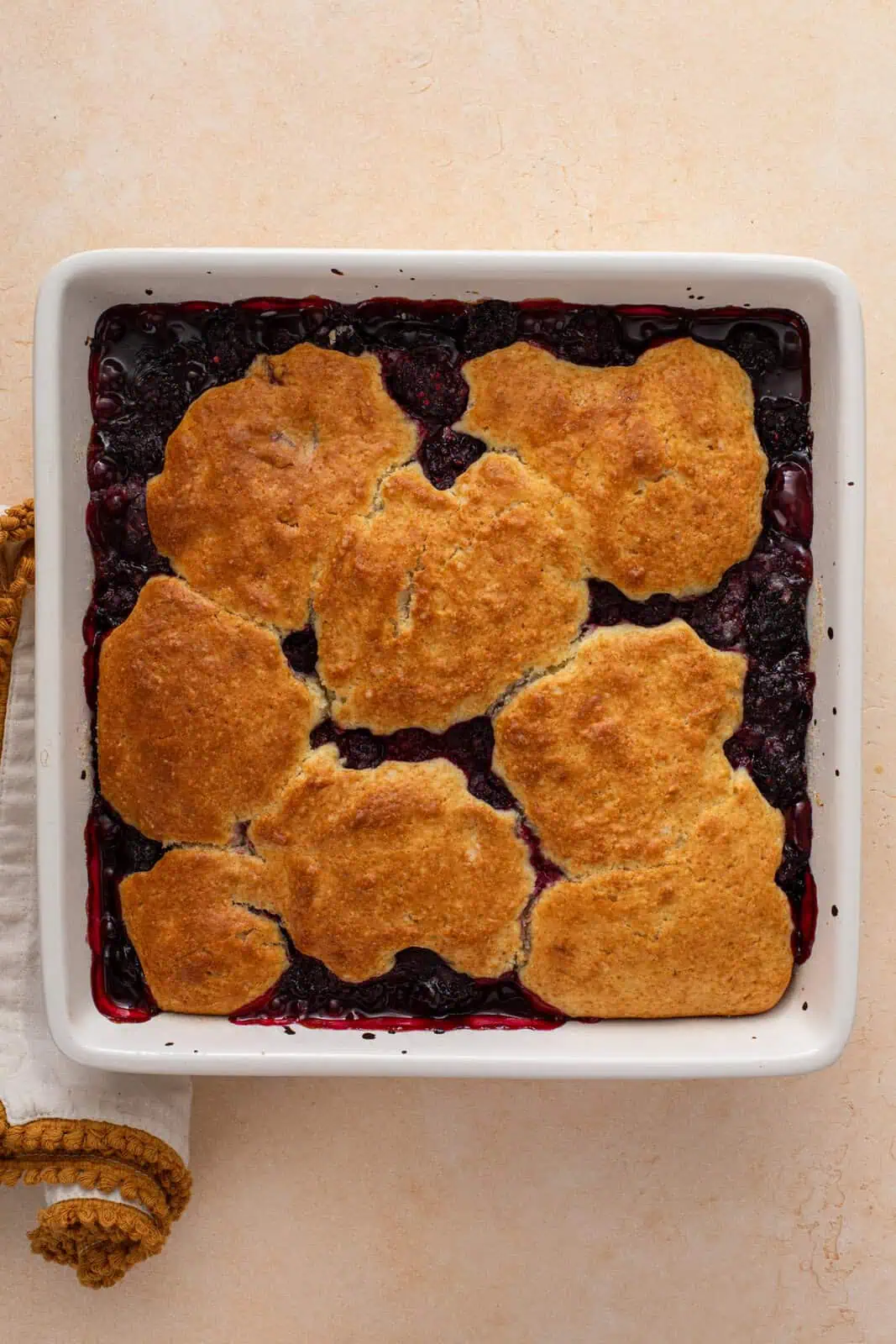 Baked blackberry cobbler in a white baking dish.