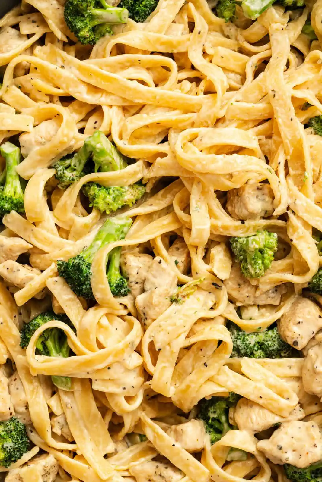 Close up image of chicken and broccoli alfredo to show the way the creamy sauce clings to the noodles and ingredients.