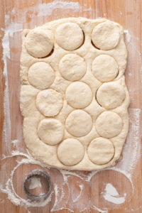 Angel biscuit dough rolled into a rectangle on a countertop with several circles cut into the dough.